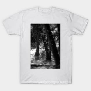 snowy Oregon forest 8 T-Shirt